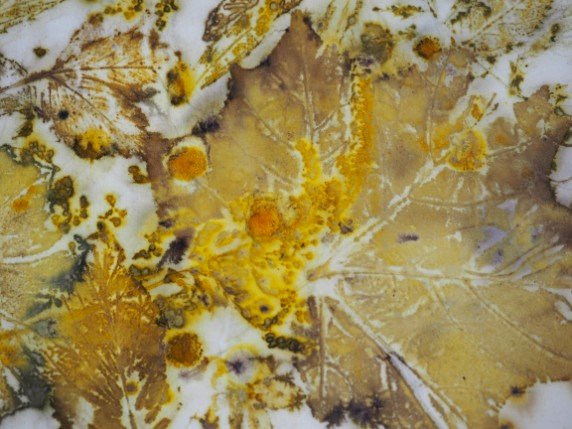 Botanisk trykk - Ecoprint