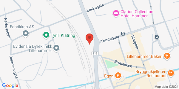 Map displaying event location