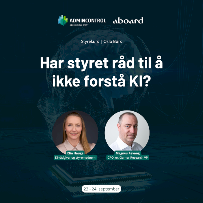 Har styret råd til å ikke forstå KI?