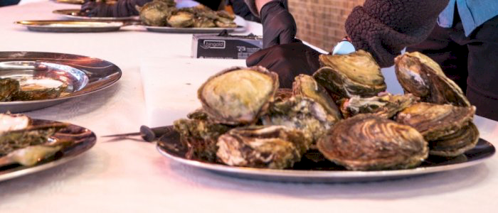 Bergensmesterskap i østersåpning 2026