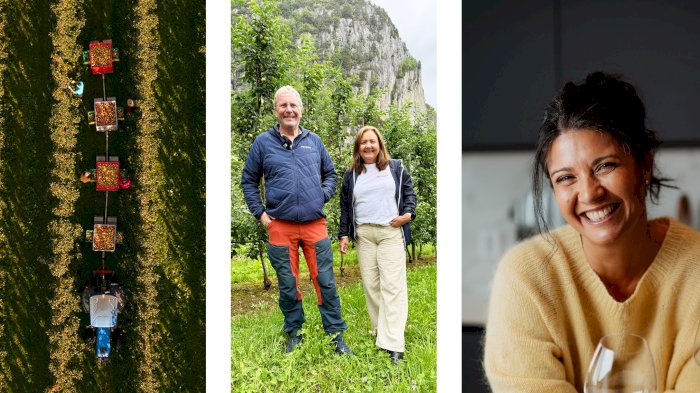Ryfylke i glasset - sider, småretter og historier rundt langbordet
