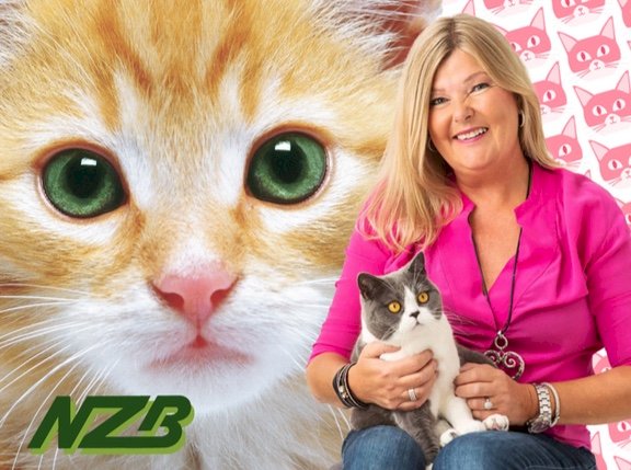 NZB webinar: I hodet på din kattekunde