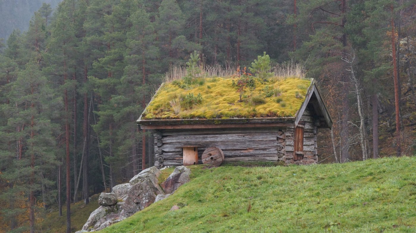 Styresamling i Telemark //Tråkk sommertur