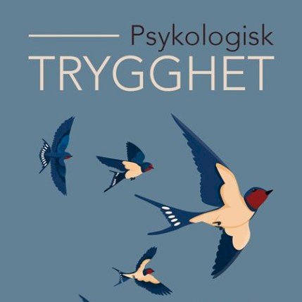 Boklansering: Psykologisk trygghet i det norske arbeidslivet - med NHH-forsker Bård Fyhn