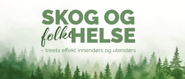 Skog og folkehelse: treets effekt innendørs og utendørs