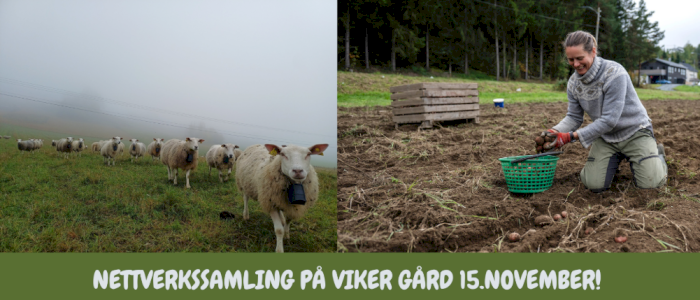 Nettverkssamling på Viker Gård 15. november
