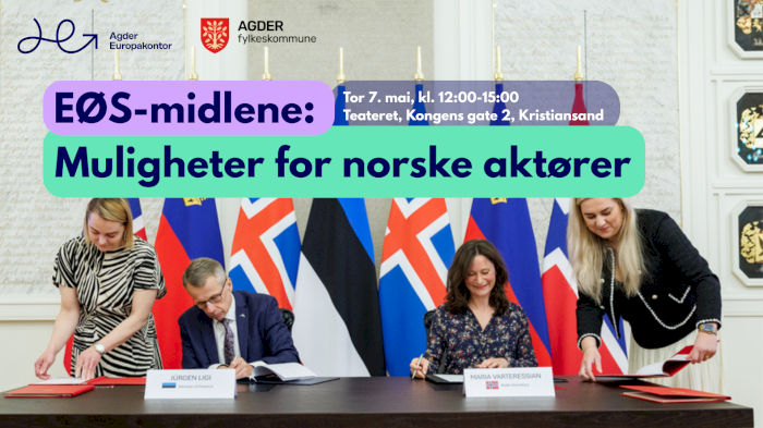 EØS‑midlene: Muligheter for norske aktører