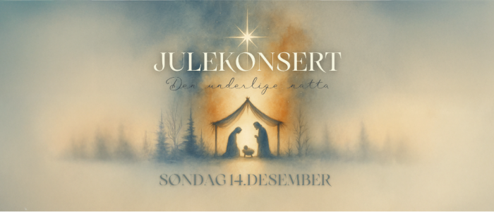 Julekonsert - Den underlige natta