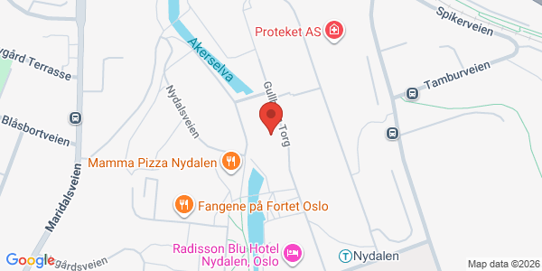 Kart som viser hvor arrangementet foregår