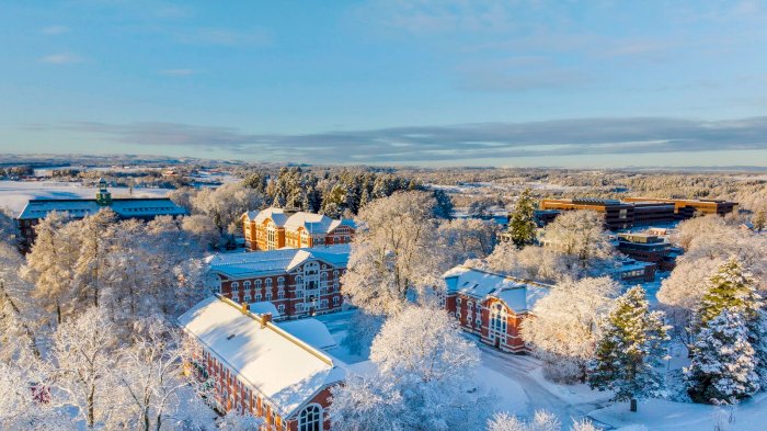 Landskapsingeniører i Norge – 20 år