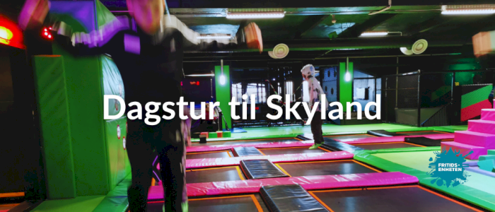 Skyland Grim, Tinnheia, Hellemyr og Torridal 20.02.2026