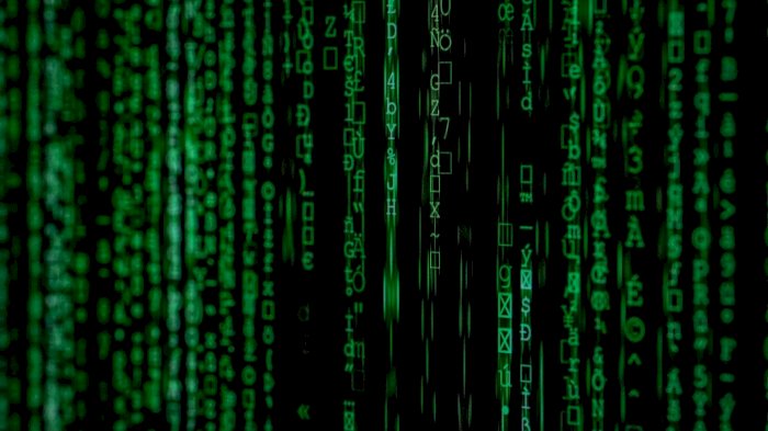 IT-sikkerhed i en ny virkelighed
