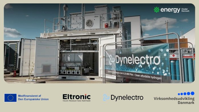 Scaling Up Green Hydrogen