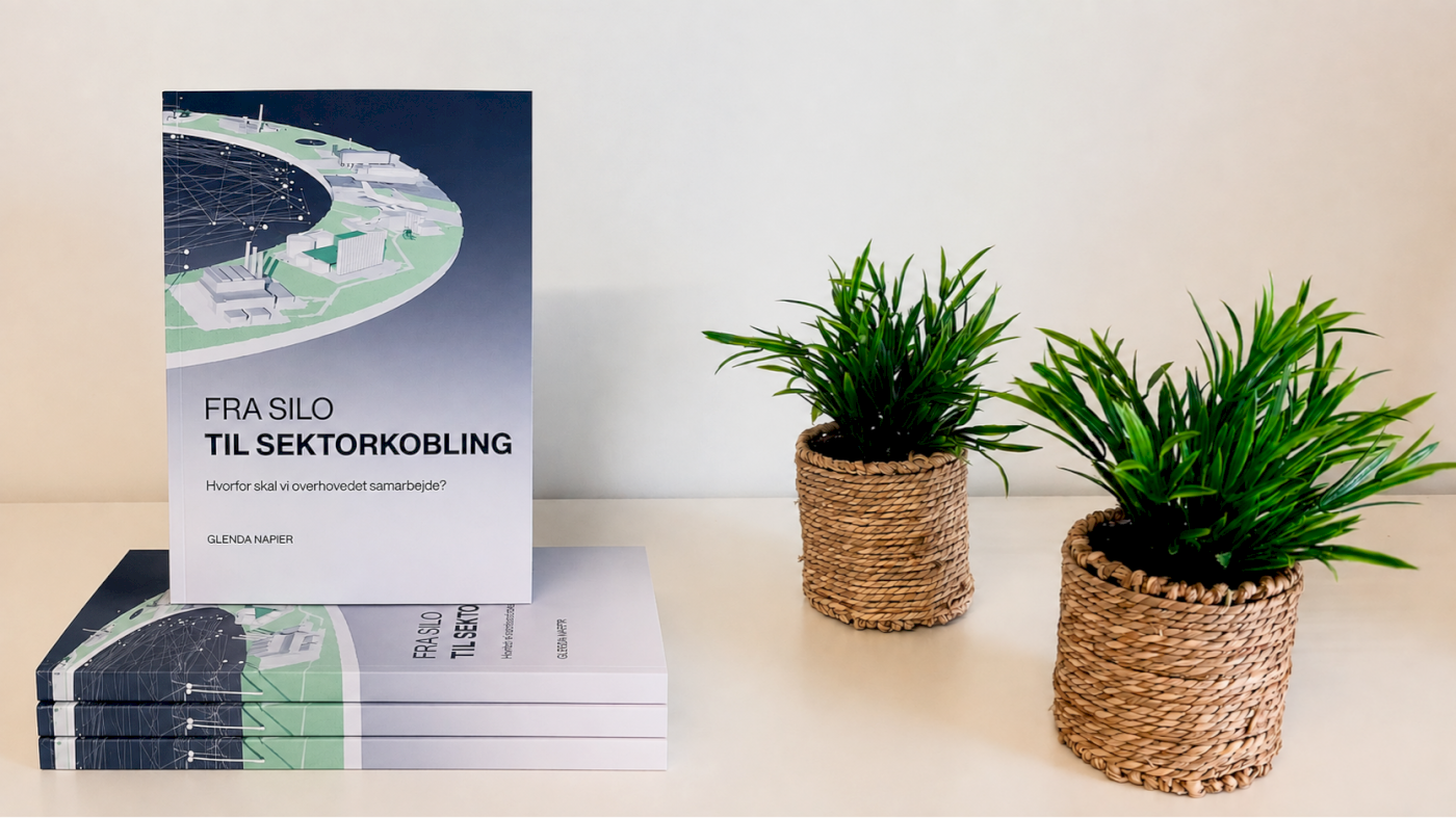 Bog: Fra silo til sektorkobling – hvorfor skal vi overhovedet samarbejde