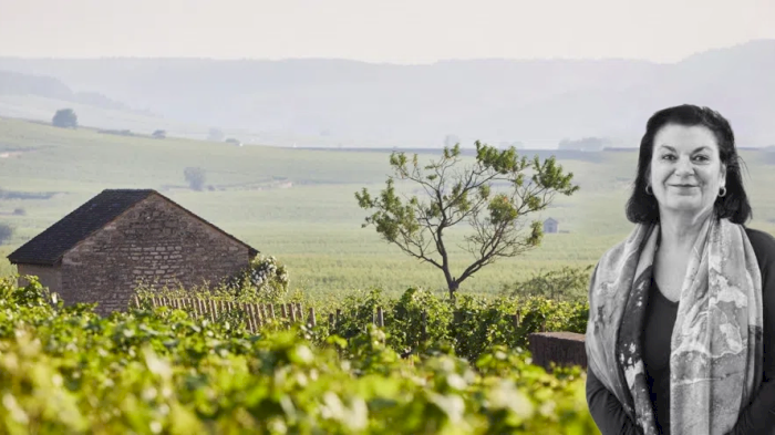 Mai Tjemsland tar oss med på en spennende reise i Bourgogne