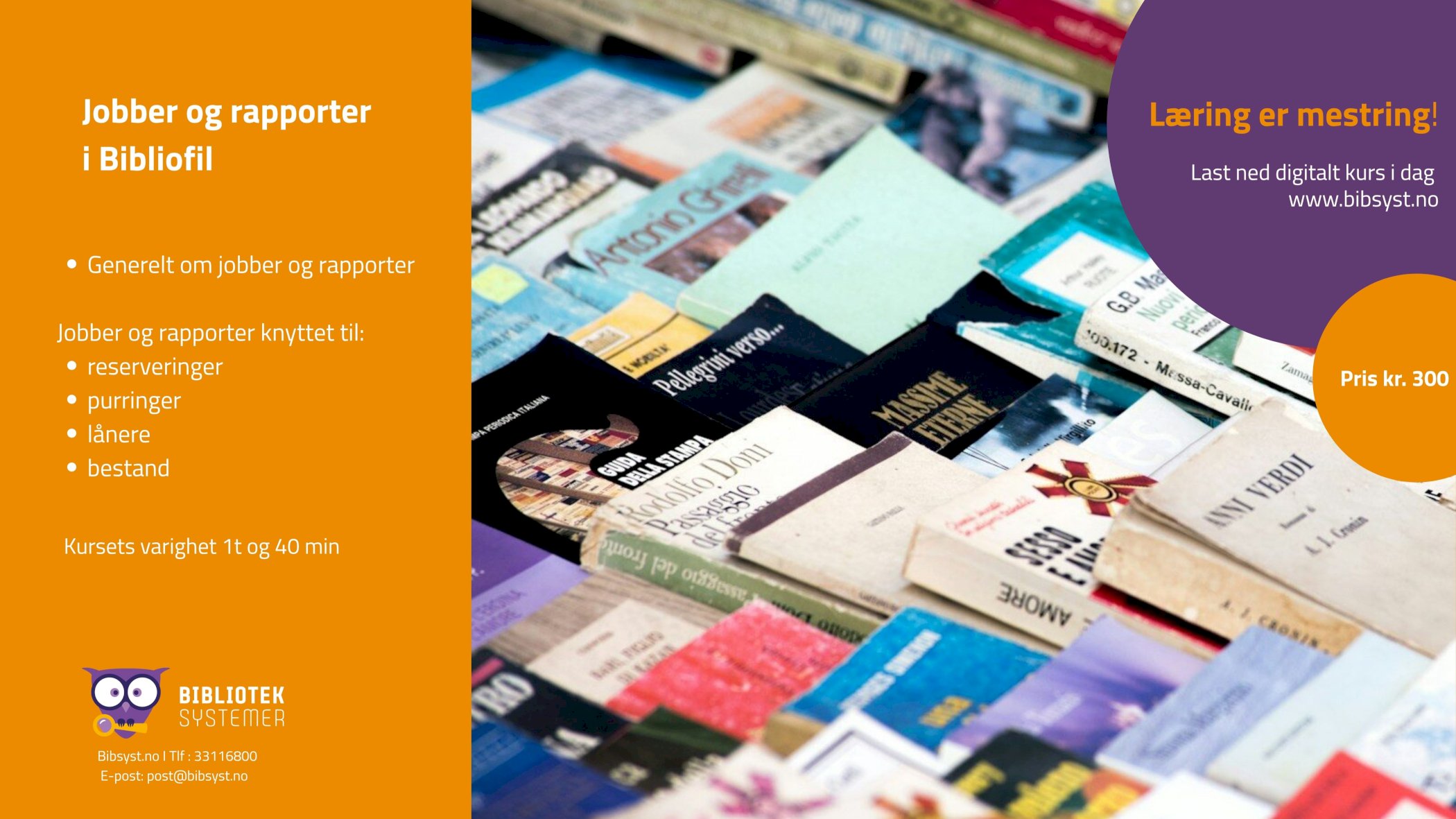 Bibliofil - Jobber og rapporter